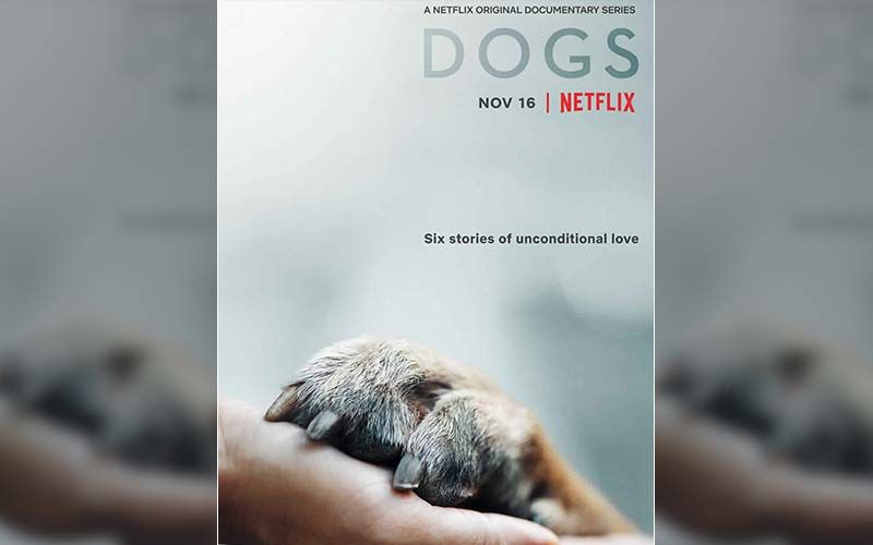 Hidden Gem: Netflix’s Show Dogs Is The Perfect Heart-Warming Sunday Watch