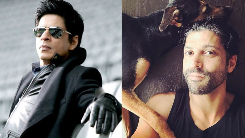 Is Don 3 With Shah Rukh Khan Ever Going To Happen? Here’s What Farhan Akhtar Has To Say