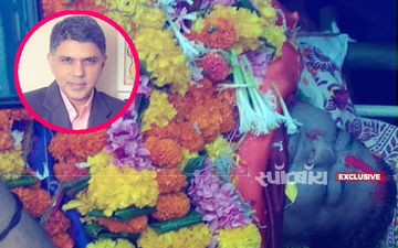 क्या काम की खातिर डॉक्टर हाथी ने अपनी जान मुश्किल में डाल दी? डॉक्टर ने दी अहम जानकारी