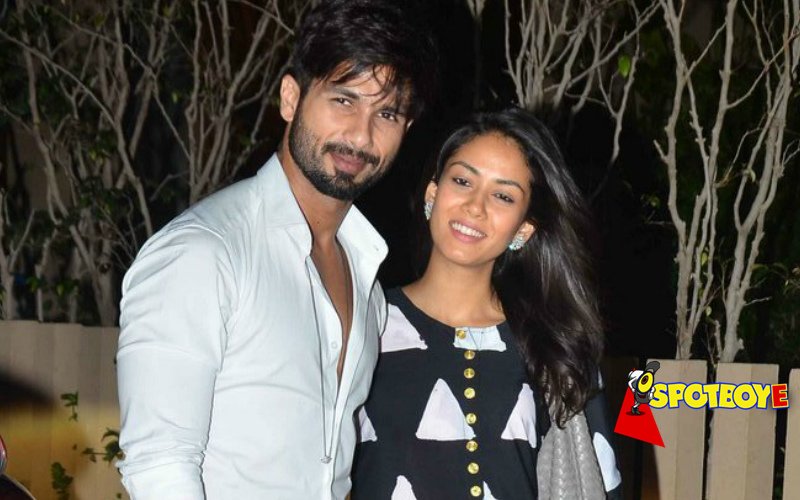 Are Shahid-Mira expecting their first child?