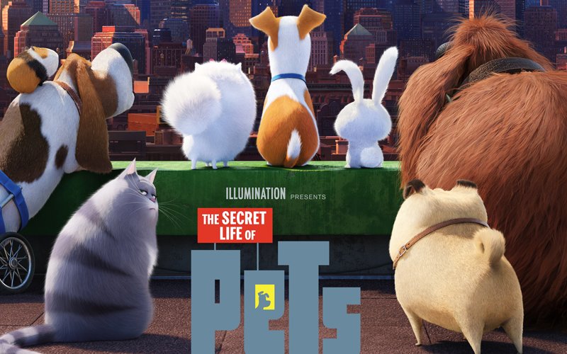 Movie Review: Age no bar, The Secret Life Of Pets is just Wow!