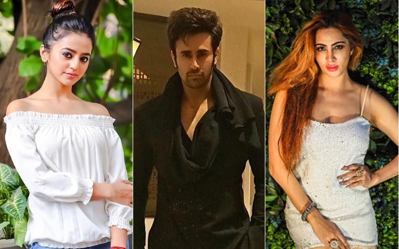 Eid Mubarak 2019: Here's What Helly Shah, Pearl V Puri, Arshi Khan Have asked From The Almighty!