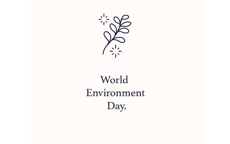 World Environment Day 2020: History, Theme And Importance Of The Day