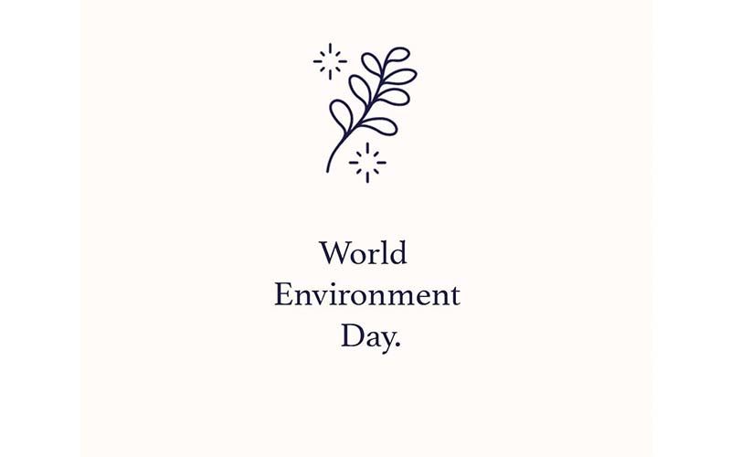 world environment day history