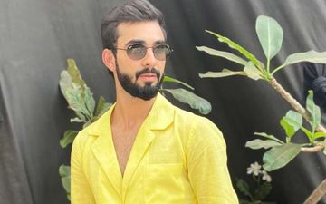 Yeh Hai Mohabbatein Actor Abhishek Verma To Make His Digital Debut With Asha Negi- Deets Inside