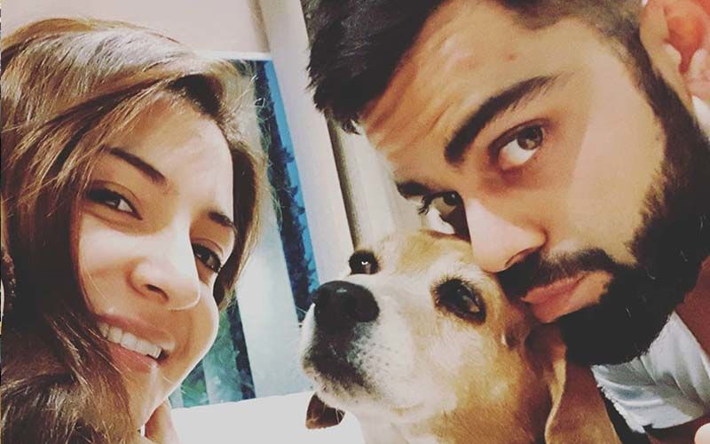 Anushka Sharma And Virat Kohli In Mourning; Couple's Beloved Dog Bruno Leaves For Doggy Heaven, RIP