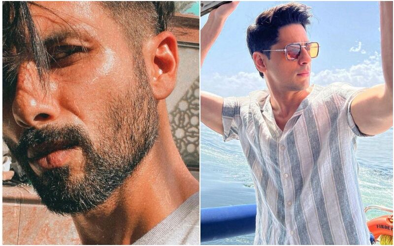 Shahid Kapoor, Siddharth Malhotra To R. Madhavan - Bollywood Actors Who Aced the Sun-Kissed Look