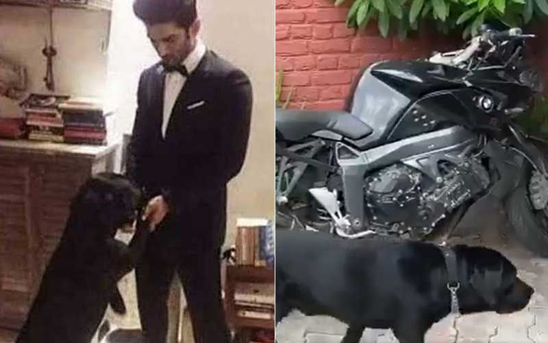 Sushant Singh Rajput’s Pet Dog Fudge Takes A Stroll Around Late Actor’s Bike; Family Shares Video On Twitter