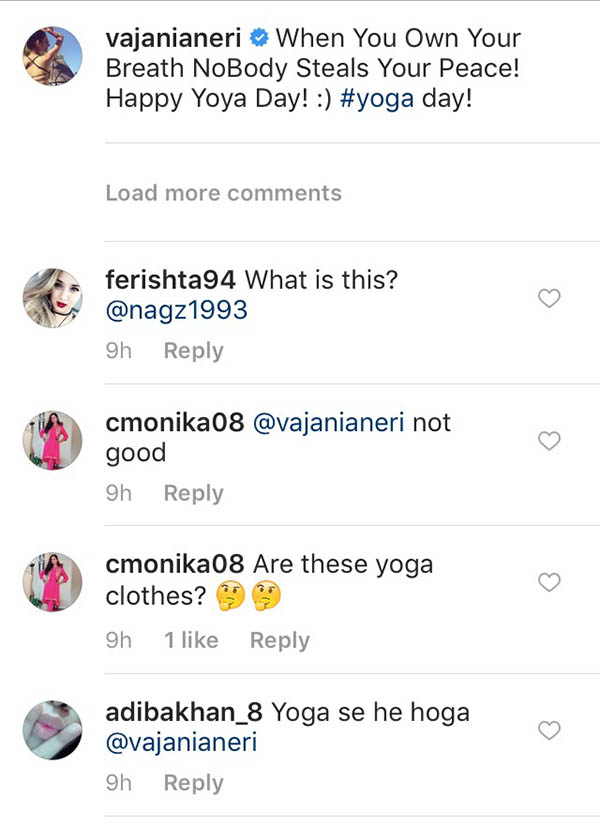 grabs of public trolling vajani aneri on instagram