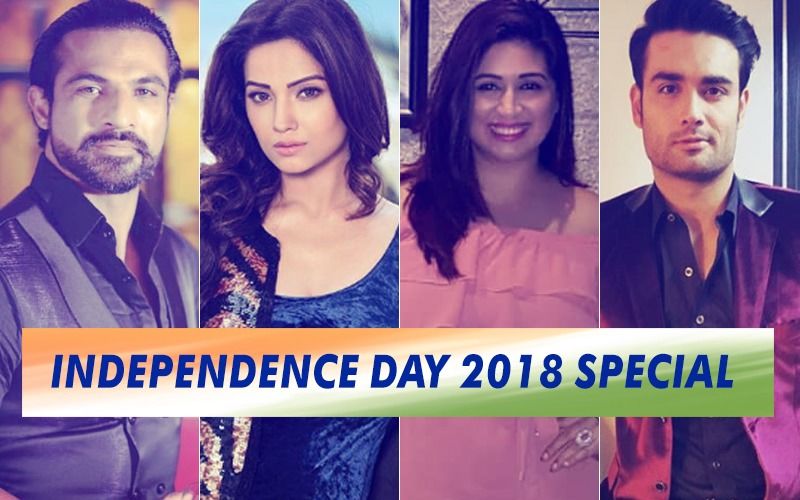 Happy Independence Day 2018: Mohammad Nazim, Adaa Khan, Vahbiz Dorabjee, Vivian DSena Reveal Their Favourite Freedom Fighters
