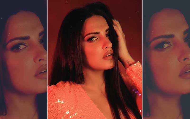 Bigg Boss 13: Ex-Contestant Himanshi Khurana's Sensuous Photos And TikTok Videos That Made Her A Sensation