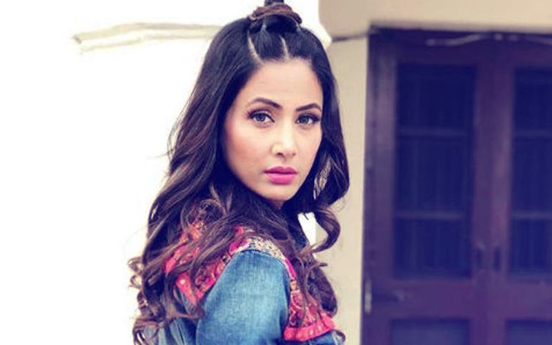 Hina Khan Accused Of Rs 12 Lakh Jewellery Fraud; Actress Gives A Shocking Reaction...