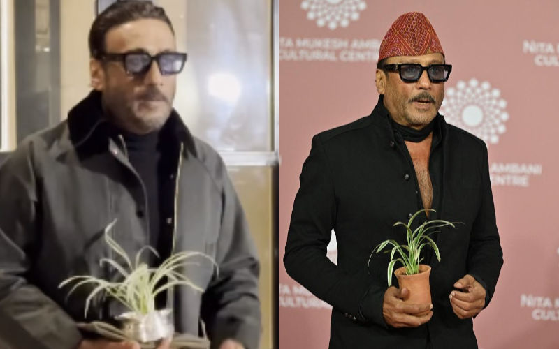WHAT! Jackie Shroff Carries A Spider Plant At Almost Every Event; Netizen Says ‘Ye Aadmi Akela Global Warming Reverse Karega’