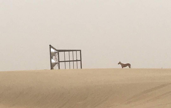 jaisalmer sets of parmanu hit by a sandstorm