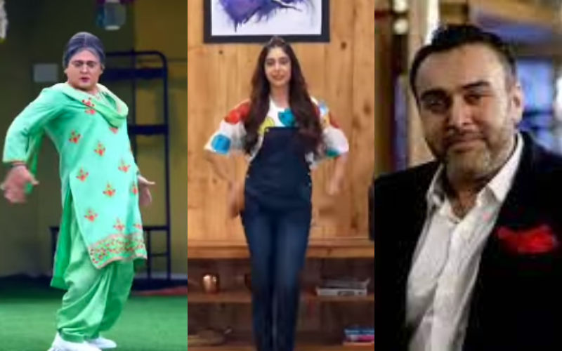 Jhalak Dikhhla Jaa 10 PROMOS OUT: Niti Taylor, Dadi AKA Ali Asgar And Zorawar Kalra Showcase Their Killer Dance Moves