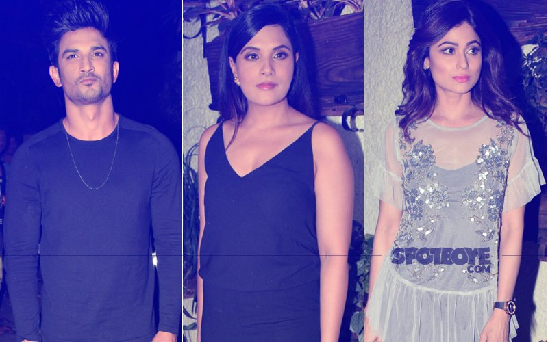 Stars Attend Kalki Koechlin & Richa Chadha Starrer Jia Aur Jia Screening