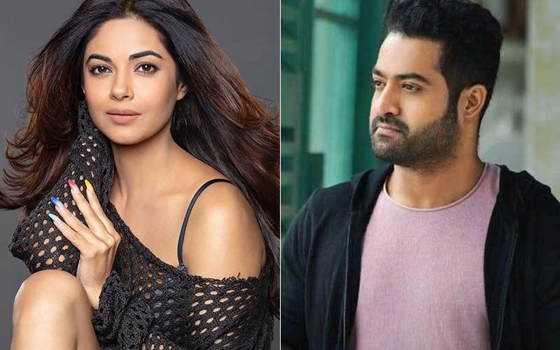 Meera Chopra Receives Rape Threats By Jr NTR Fans: ‘I’ve Been Tagged A Wh*Re, Porn Star; I Feel Sad For Stars With Such Twisted Fanbase’