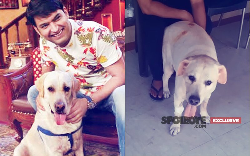 SAD NEWS: Zanjeer, Kapil Sharma’s 9-Year-Old Dog Is No More