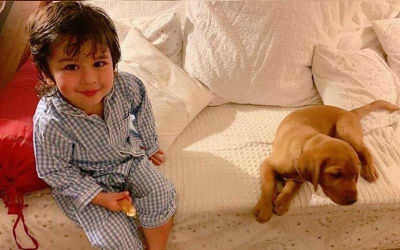 Taimur Ali Khan’s Happiness Knows No Bounds As He Sheepishly Poses For a Picture With A Cute Pup