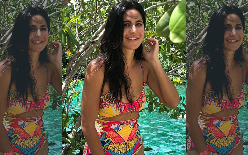 Birthday Party's Over But The Celebrations Continue; Katrina Kaif Thanks Fans For Showering Her With All That Love