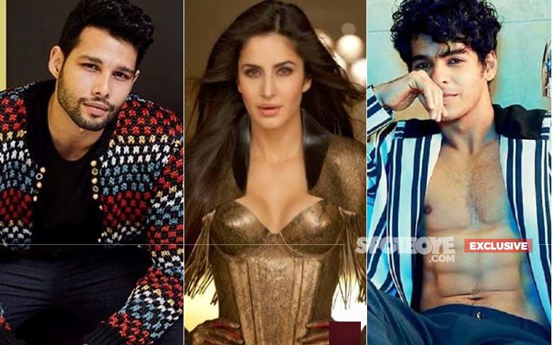 CONFIRMED: Katrina Kaif To Kick-Start Next With Ishaan Khatter-Siddhant Chaturvedi On Nov 30- EXCLUSIVE