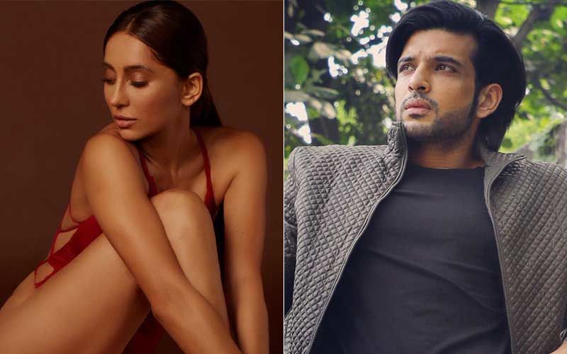 Anusha Dandekar Posts A Sexy Picture With Cryptic Caption Which Makes Us Wonder If It’s For Her Ex Karan Kundrra