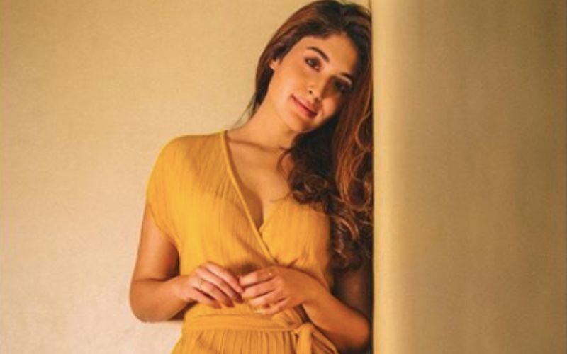 Kritika Kamra Reacts On MHA Guidelines Of E-Learning During Lockdown; Says 'I'm Struggling For Decent Internet Here'