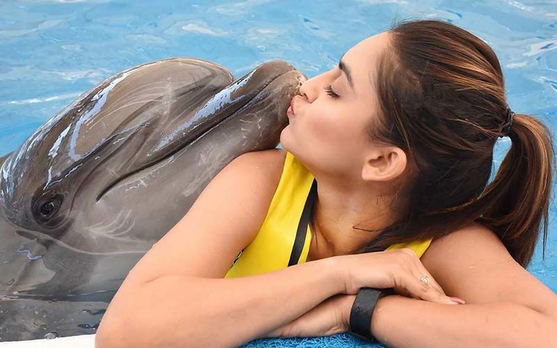 Turkey Diaries: Krystle D'Souza Swims With Dolphins And The Pictures Are A Sight Of Pure Envy