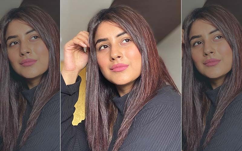 Bigg Boss 13’s Shehnaaz Gill Expresses Her Concern: ‘People Might Forget Me, The Craze Is Rather Short-Lived’