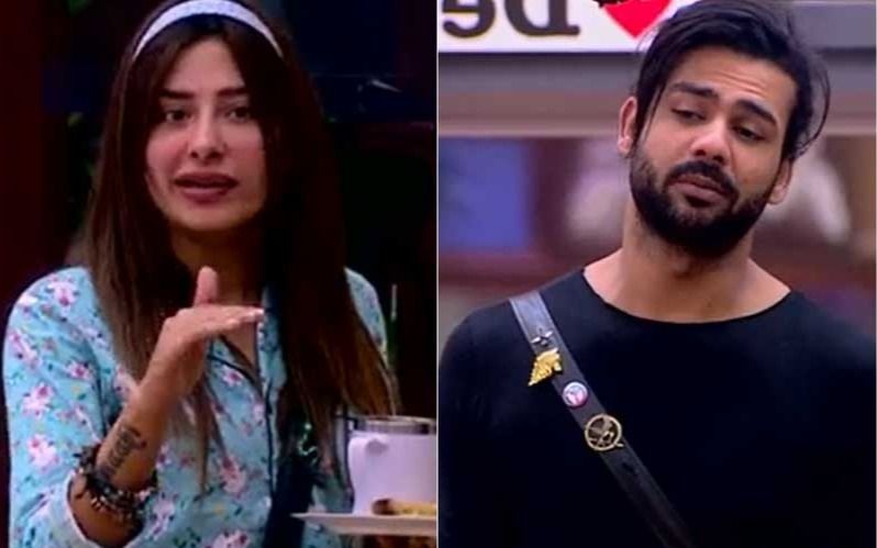 Bigg Boss 13: Vishal Aditya Singh And Mahira Sharma Get Into A Verbal Brawl – Watch Video