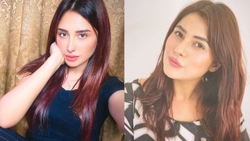 Bigg Boss 13's Mahira Sharma Accused Of Buying Shehnaaz Gill's Fan Pages On Twitter; Khabri's Scathing Tweet INSIDE