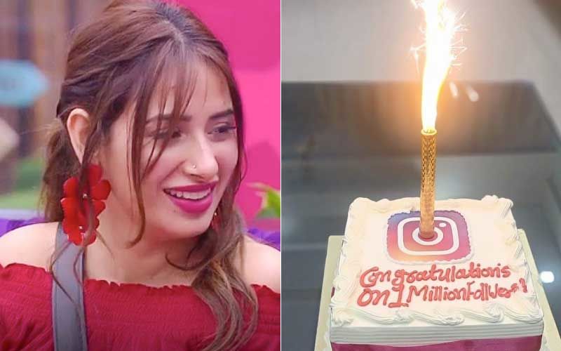Bigg Boss 13: Mahira Sharma Clocks 1M Follower On Instagram; Team Celebrates With A Huge Cake