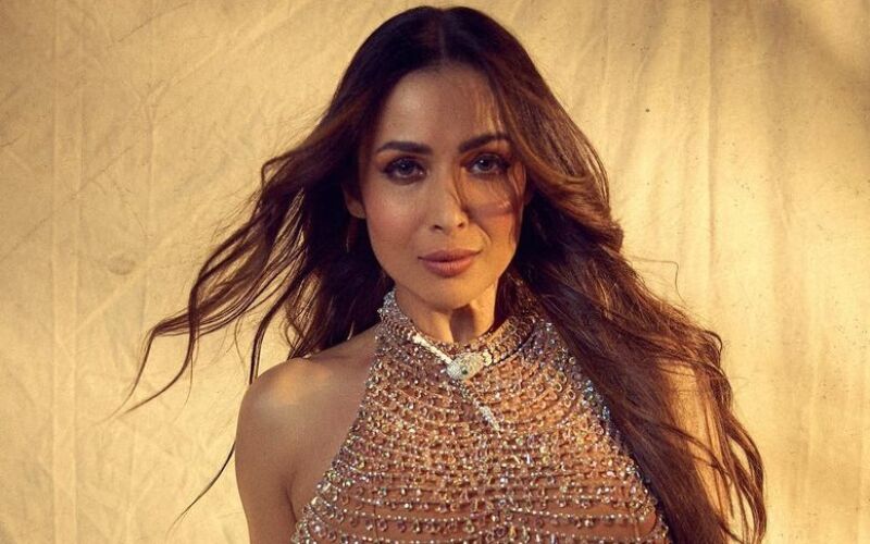 Malaika Arora Reveals People Assumed She Received ‘Fat Alimony’ As She Could ‘Afford’ An Expensive Outfit; Says, ‘I Was Aghast’