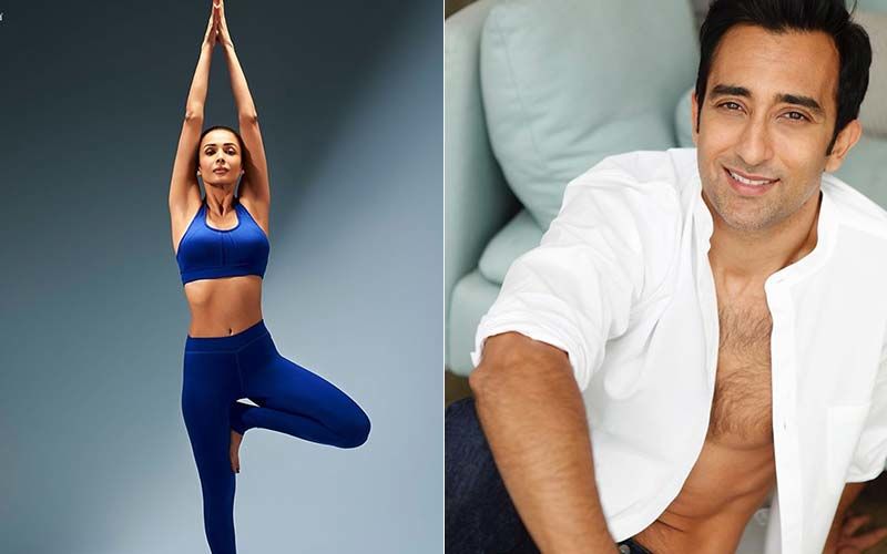 Malaika Arora Strikes The Perfect Yoga Asana Tree Pose; Rahul Khanna Has The Funniest Reply Ever