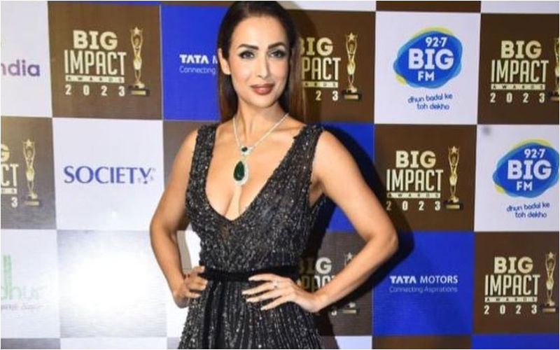 HOTNESS ALERT! Malaika Arora Shows Off Her Cleavage And Busty Assets In A Plunging Neckline Feather Gown At A Recent Awards-See PICS