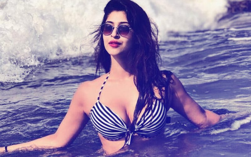 23-Year-Old Held For Sending Obscene Messages To TV Actress Sonarika Bhadoria