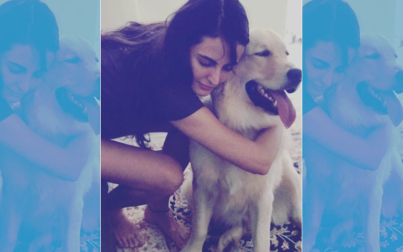 FINALLY! Ex-Bigg Boss Contestant Mandana Karimi Reunites With Her Dog
