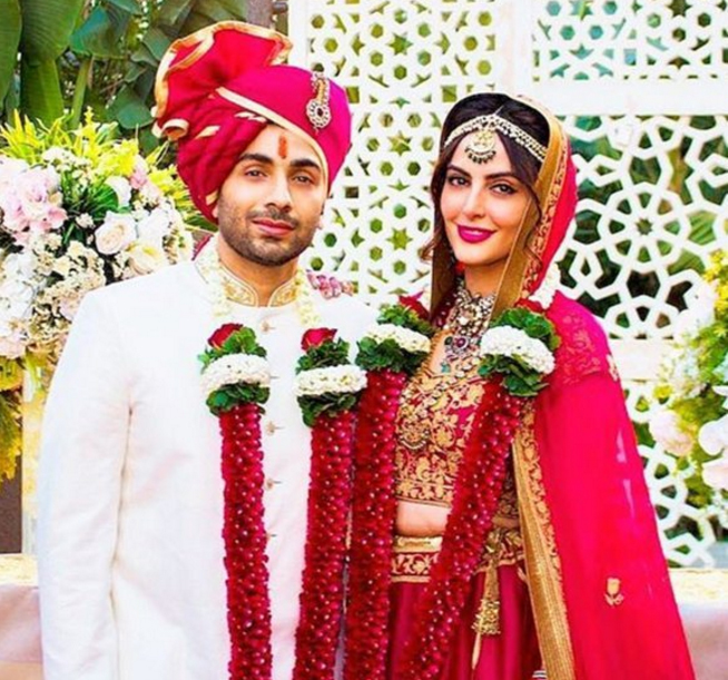 mandana karimi with gaurav gupta got married in 2017