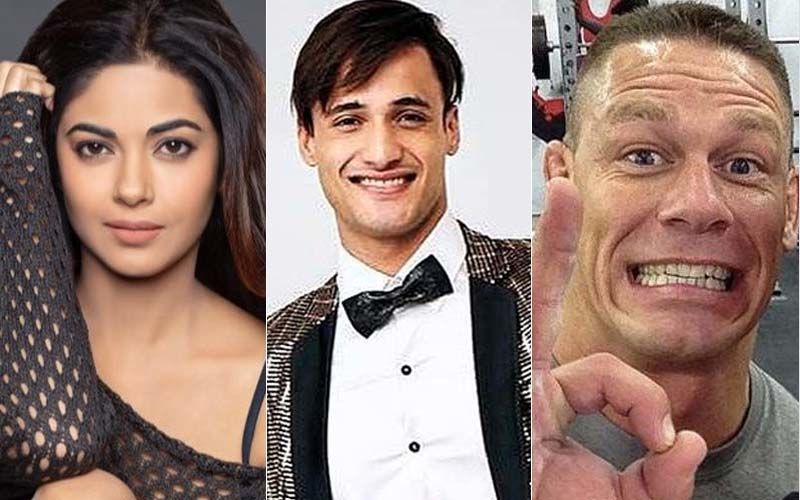 Bigg Boss 13: PeeCee's Sister Meera Chopra Thinks BB Should Thank Asim Riaz For International Fame After John Cena’s Post