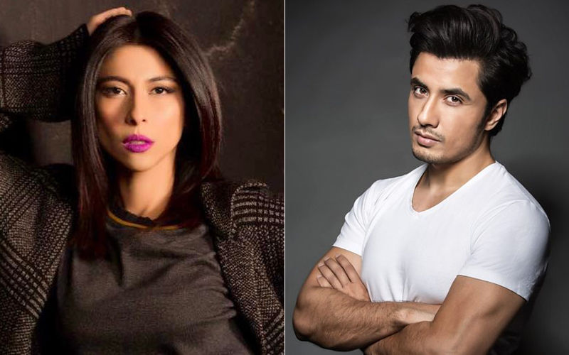 Meesha Shafi Is Not Giving Up, Will Continue To Fight Against Ali Zafar 'For Sexually Harassing Her'