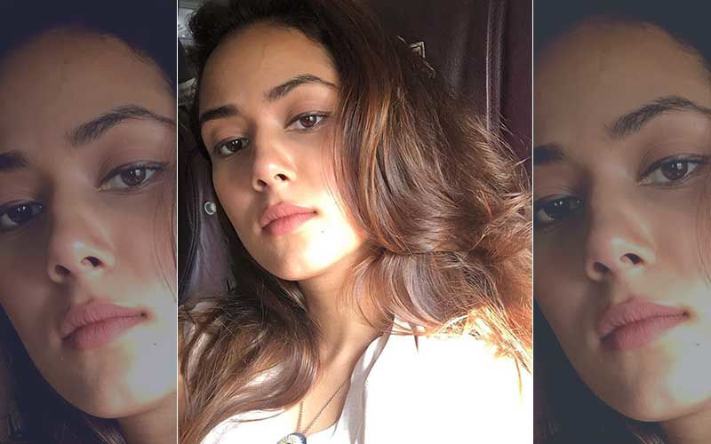 Shahid Kapoor’s Wife Mira Rajput Gives A Sneak-Peek At Her Healthy Lunch; Bunch Of Leaves In There