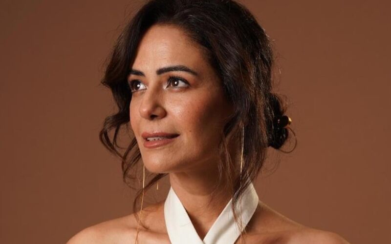 OMG! Mona Singh To Play A Gangster In Her Upcoming Comedy Adventure? Source Says, ‘She Will Take You To Delly Belly Days’