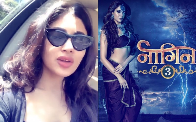 Video: Mouni Roy Has A Special Message For Season 3’s ‘First Naagin’ Karishma Tanna