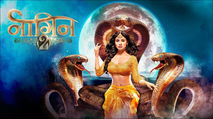 naagin 2 poster