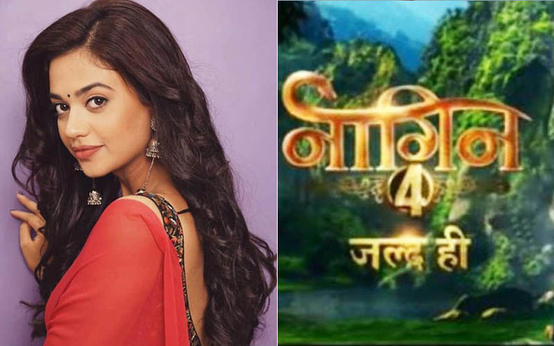 Naagin 4:  Gathbandhan Actress Shruti Sharma REJECTS An Anti-Heroine Role In Ekta Kapoor's Drama