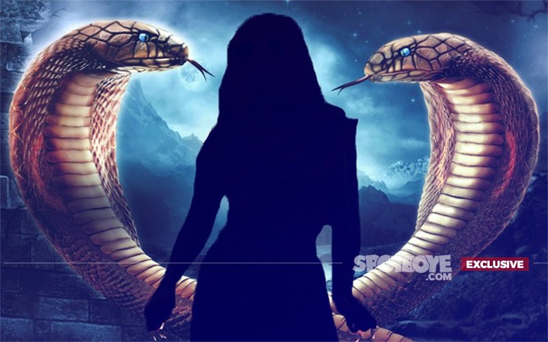 Twist In The Tale: This Naagin Will Die On The Show Soon After Its Launch