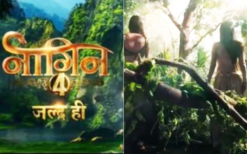 Naagin 4 Teaser: Ekta Kapoor Gives A Glimpse Of Two Naagins And Leaves Fans Guessing About The New Mystery Ladies