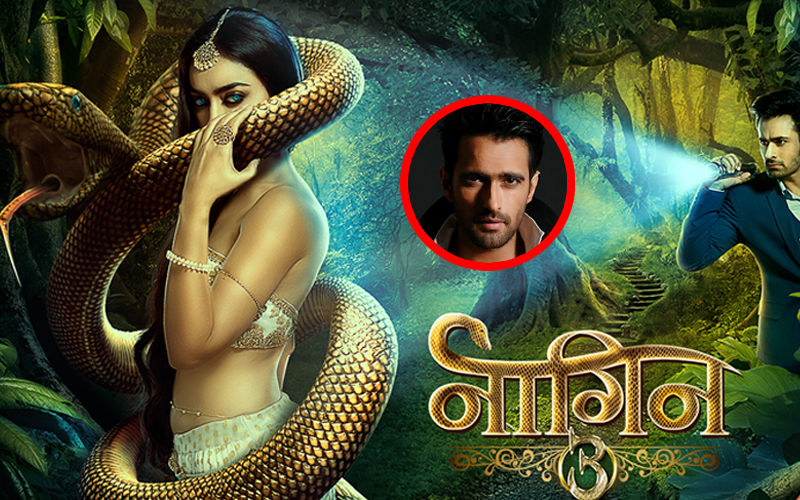 Naagin 3 To Witness A 20-Year Leap; Deepak Wadhwa Roped In To Play Parallel Lead