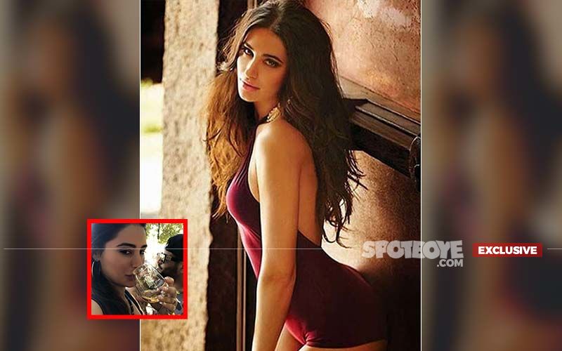 Sex Video Of Nargis Fakhri - Nargis Fakhri Admits Rejecting Playboy Magazine's College Edition ...