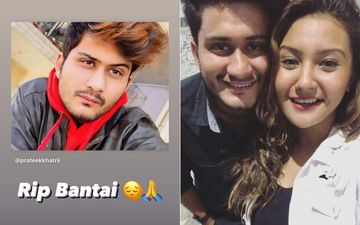 Young TikToker Prateek Khatrii Dies In A Road Accident: Aashika Bhatia, Amir Siddiqui Mourn His Demise